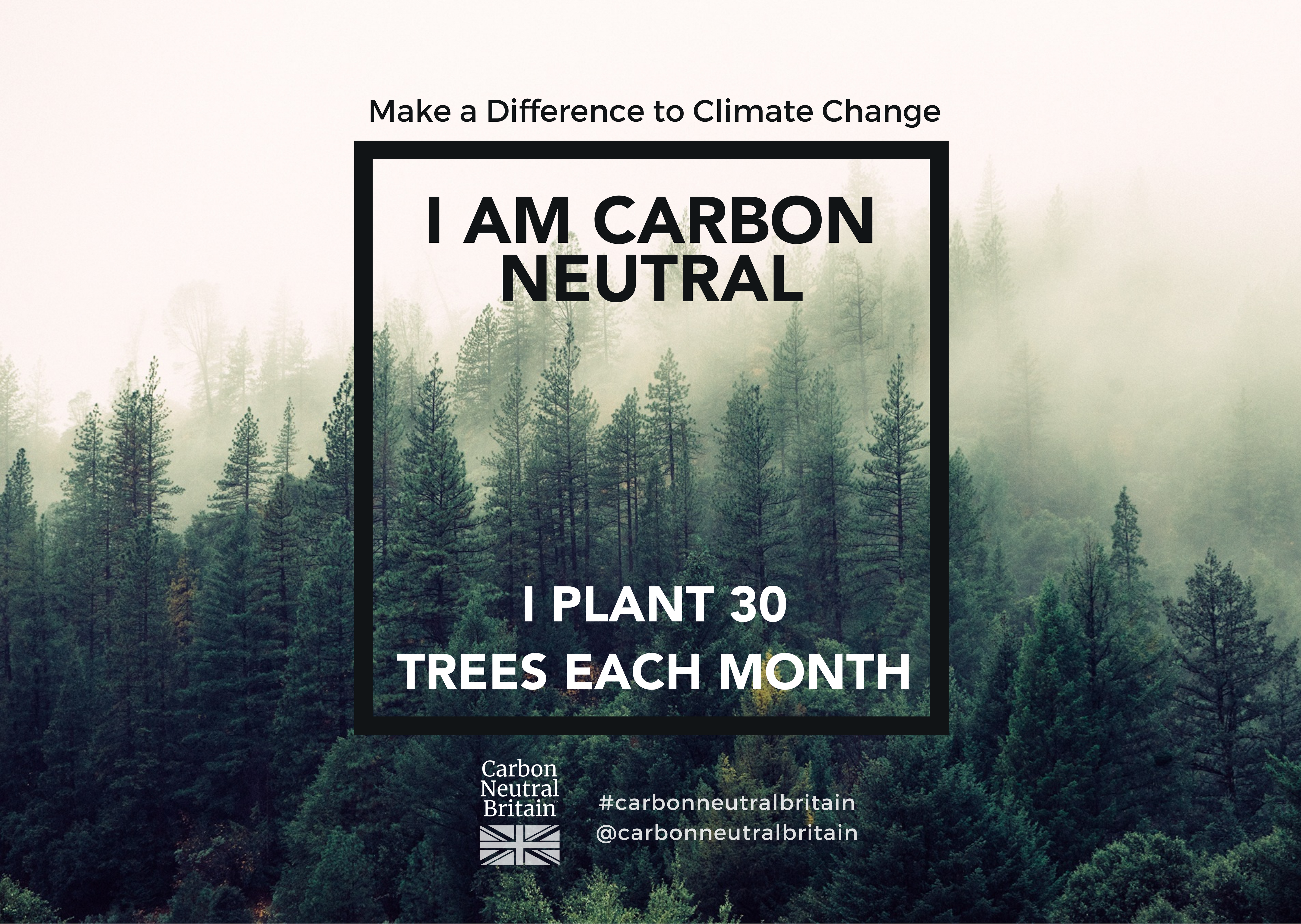 Carbon Neutral Britain programme supported by 241Photography